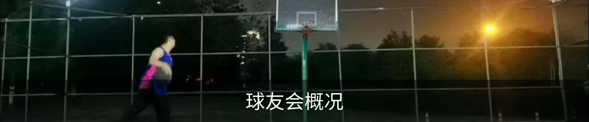 球友会概况